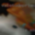 Jerseyville adult swinger