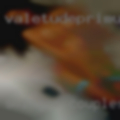 Swinger couples fucking other