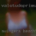 Swingers beach
